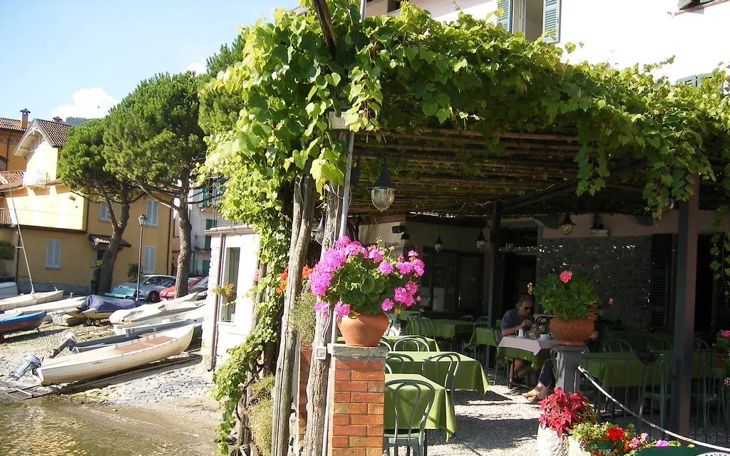 Terraza bajo una pérgola cubierta de plantas